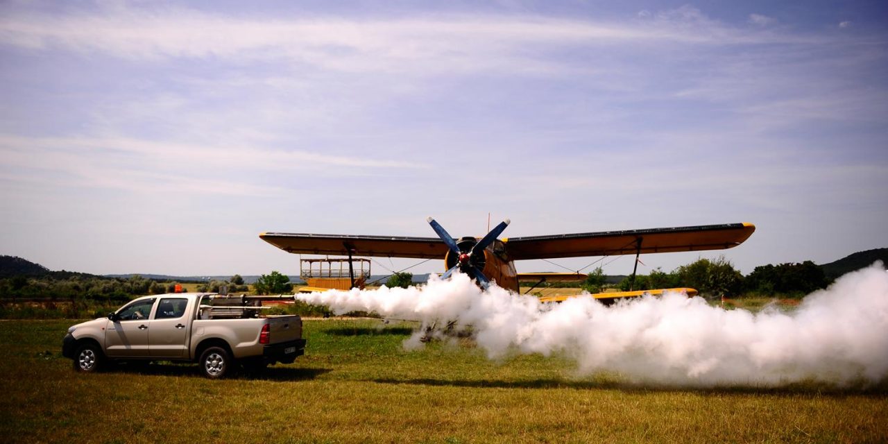 Szúnyogirtás: Magyarkanizsa tartja a lépést Zentával