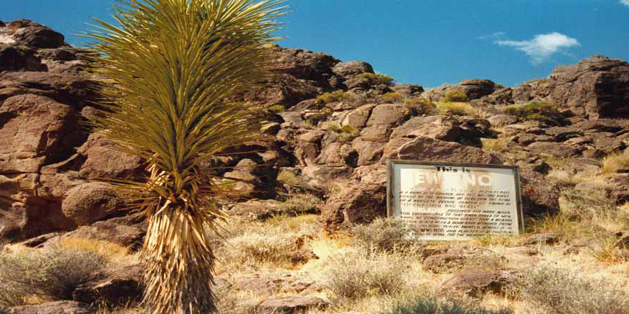 <span class="entry-title-primary">Bomba hír</span> <span class="entry-subtitle">Kirobbanó erejű sajtótájékoztatóból lett a Föld napja</span>