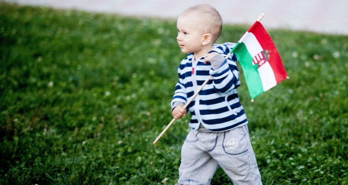 A romániai magyarság jogsérelmeiről tájékoztatta az RMDSZ az Európa Tanács szakértői bizottságát