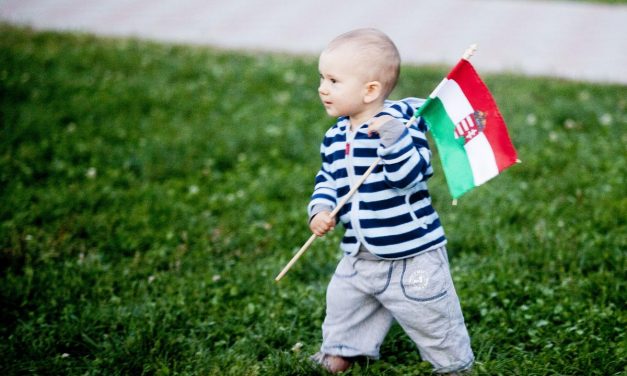 A romániai magyarság jogsérelmeiről tájékoztatta az RMDSZ az Európa Tanács szakértői bizottságát