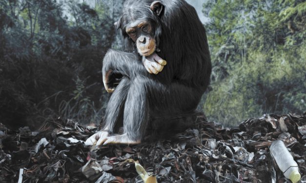 Műanyagmentes világot! (Föld napja 2018)