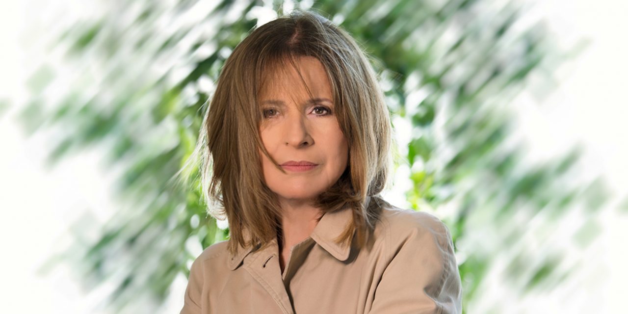 Gazdagon illusztrált kötet jelent meg Koncz Zsuzsa pályafutásáról