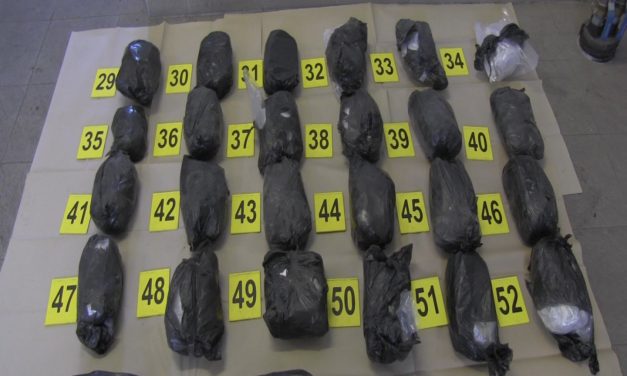 Tizenkét kiló marihuánát találtak a pénzügyőrök Röszkén (Videó)