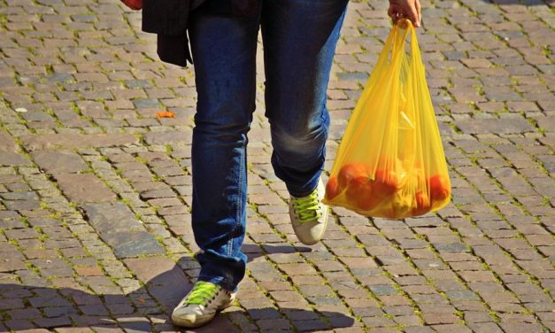 Műanyag zacskók: Egy üzletlánc fogadta meg a minisztérium ajánlását