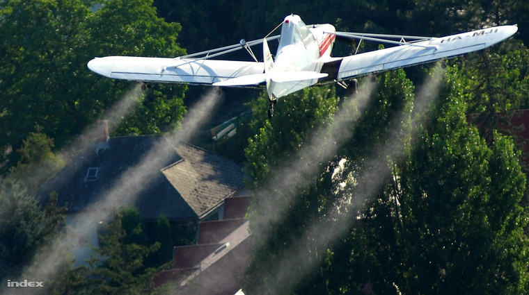 Szabadka: Még nem tudni mikor lesz szúnyogirtás