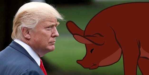 <span class="entry-title-primary">Az elnök „disznóságai”</span> <span class="entry-subtitle">Trump mészárlási kedve nem csökken: a sertések vágásának gyorsaságával is elégedetlen, szabályozás-mentesítést követel</span>