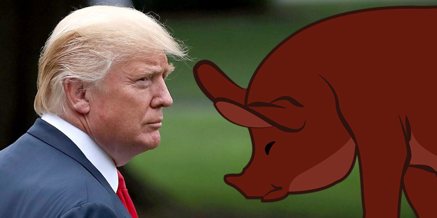 <span class="entry-title-primary">Az elnök „disznóságai”</span> <span class="entry-subtitle">Trump mészárlási kedve nem csökken: a sertések vágásának gyorsaságával is elégedetlen, szabályozás-mentesítést követel</span>