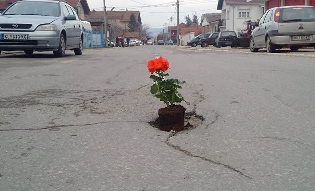 Virágot ültettek a kátyúkba