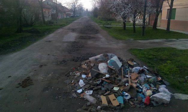 Szemétlerakás zentai módra