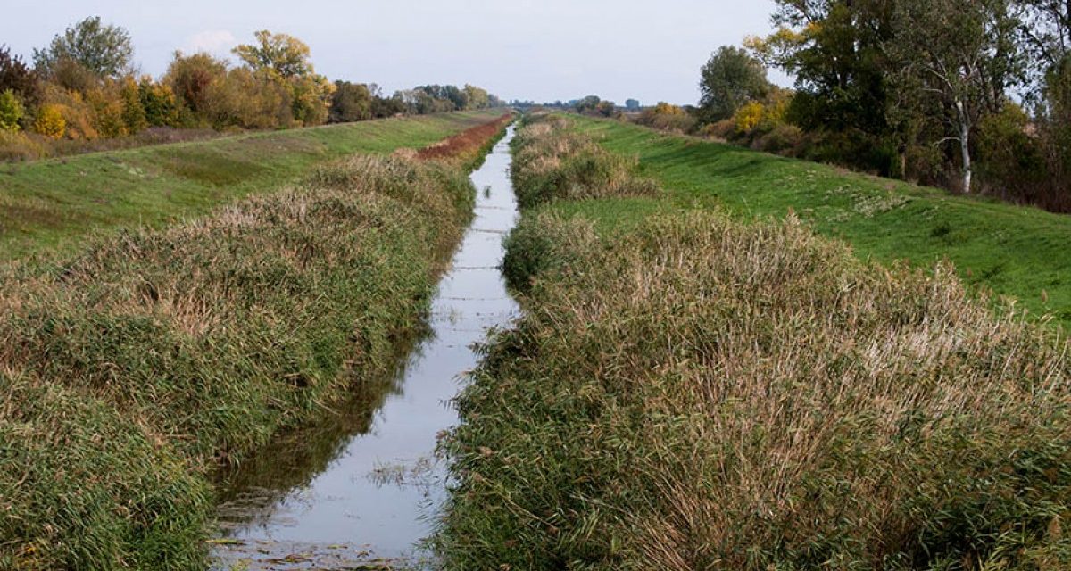 Ma még átveheti a lecsapolási illeték összegét tartalmazó levelet