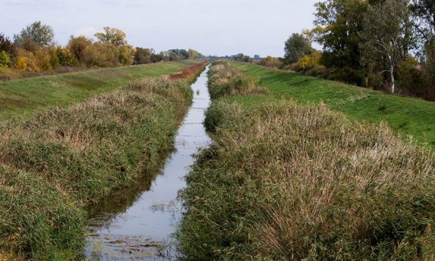 Ma még átveheti a lecsapolási illeték összegét tartalmazó levelet