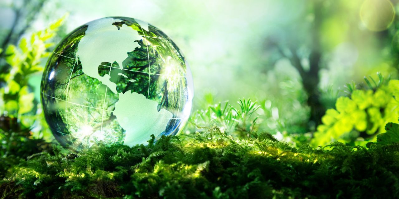 A biológiai sokféleség napja