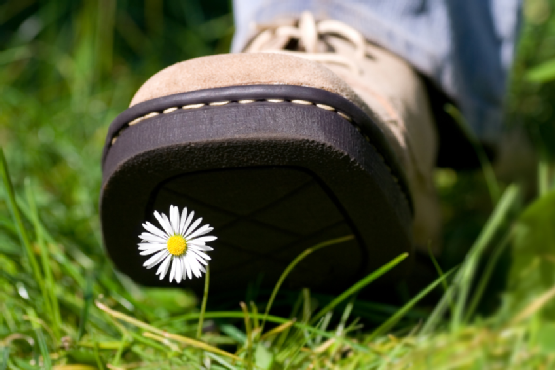 <span class="entry-title-primary">Autonómianyirbálás</span> <span class="entry-subtitle">Összegezték a közvitát a nemzeti tanácsi törvény módosításáról</span>