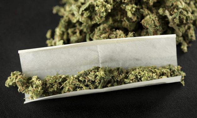 Feljelentették a szabadkai kábítószer-kereskedőt