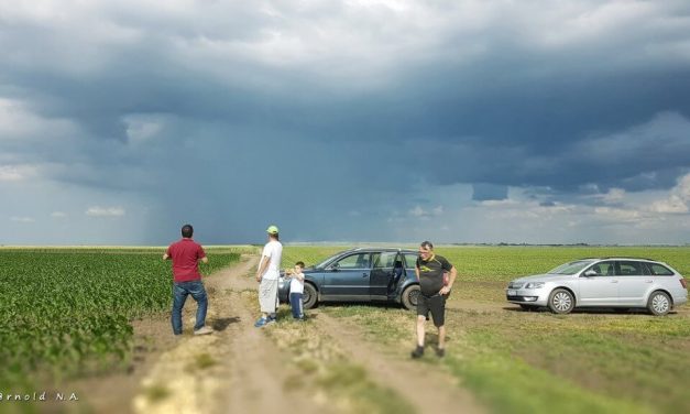 Zenta környékén a jég elverte a termést