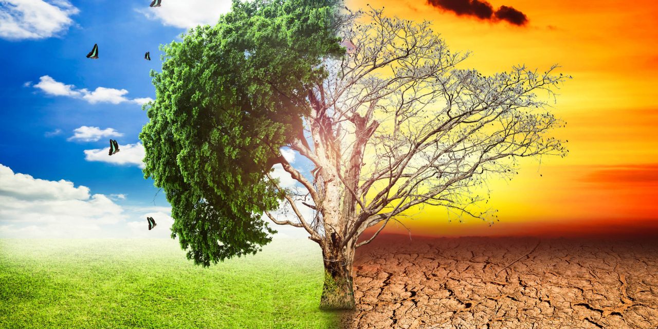 Beperelték az Európai Uniót az elégtelen klímavédelmi politikája miatt