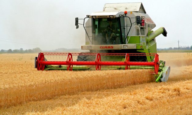 Tűzvédelmi vizsgák Magyarkanizsán