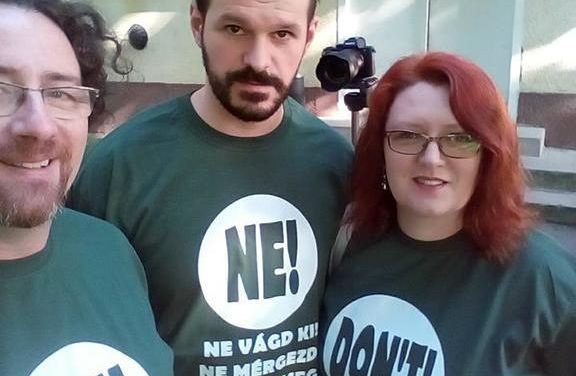 A Krivaj folyócska szennyezése az Alkotmánybíróság asztalán