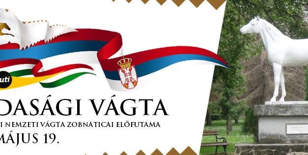Temerini lovas nyerte a Vajdasági Vágtát