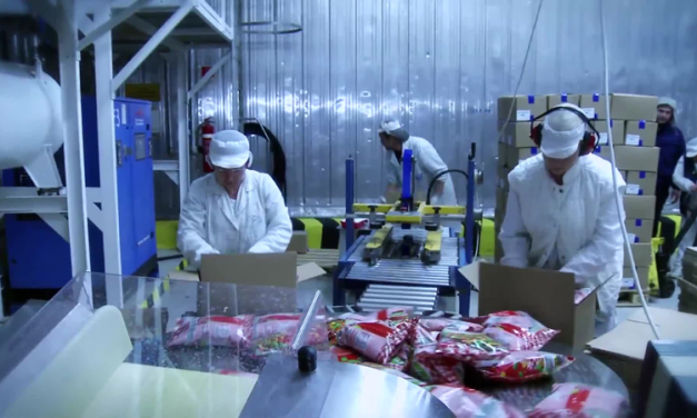 Mikor kezd az állam gondoskodni a munkásemberekről?