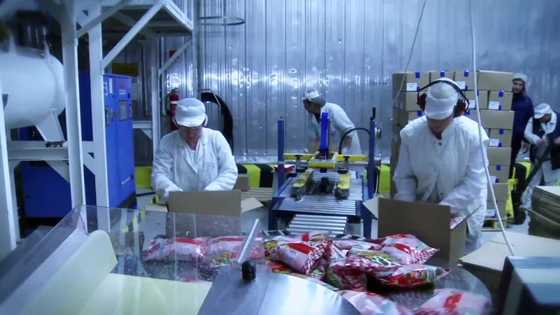 <span class="entry-title-primary">Topolya: Hatszáz szabad munkahelyre 250-en jelentkeztek</span> <span class="entry-subtitle">Kongott az ürességtől a topolyai állásbörze</span>