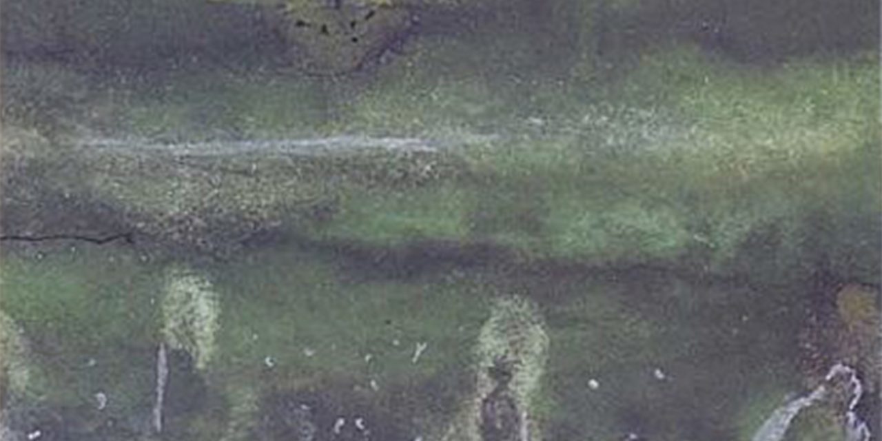 <span class="entry-title-primary">virágnézet</span> <span class="entry-subtitle">Pintér Lajos verse</span>