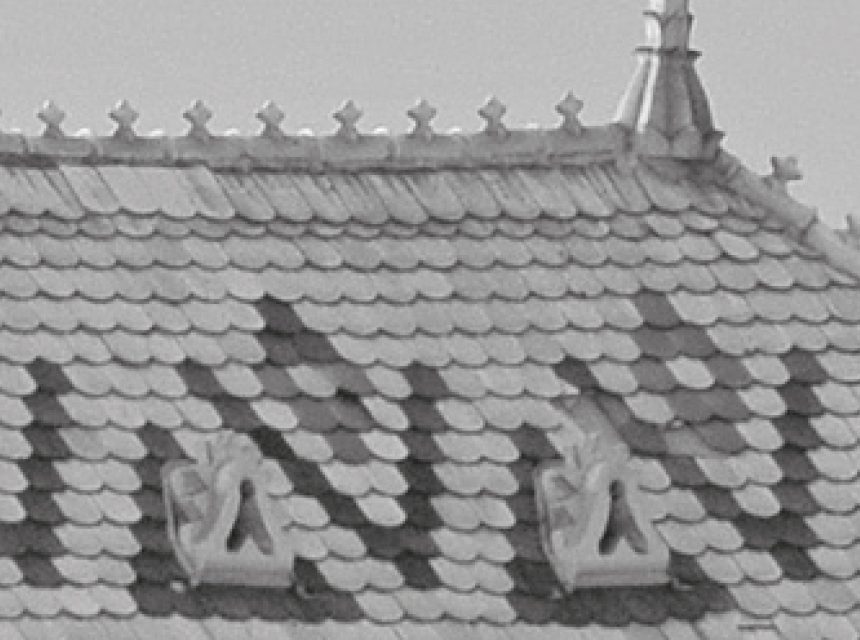 <span class="entry-title-primary">Fényed éled</span> <span class="entry-subtitle">Bencsik Orsolya verse</span>