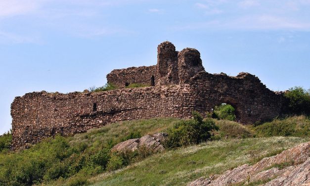 Világos (Vajdaság napja és a magyar politika)