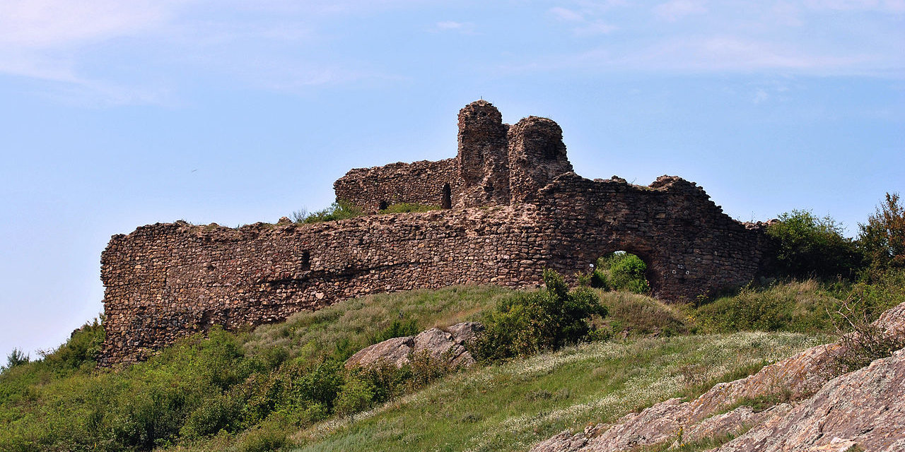 Világos (Vajdaság napja és a magyar politika)