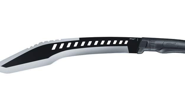 SZABADKA: Bozótvágó késsel támadt a 16 éves