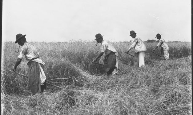 <span class="entry-title-primary">Aratási szokásokról dióhéjban</span> <span class="entry-subtitle"> „Áldja nevét százszor a jó Teremtőnek / Hogy földjébe arany színű fejek nőnek” *</span>