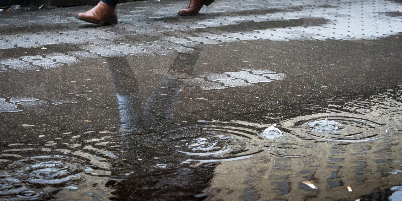 Rendkívüli állapotot hirdettek Kraljevóban az esőzések miatt