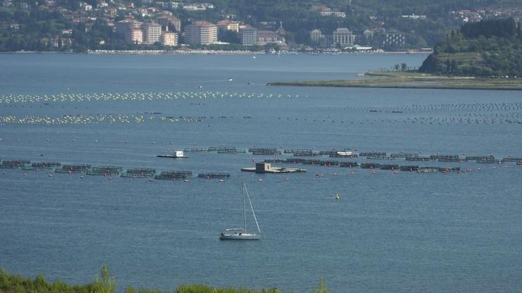 Szlovénia beperli Horvátországot