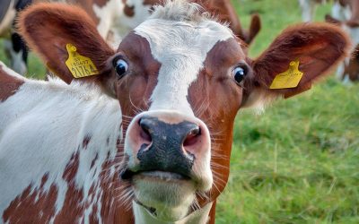 A tüntető gazdák nem tárgyalnak tovább a minisztériummal