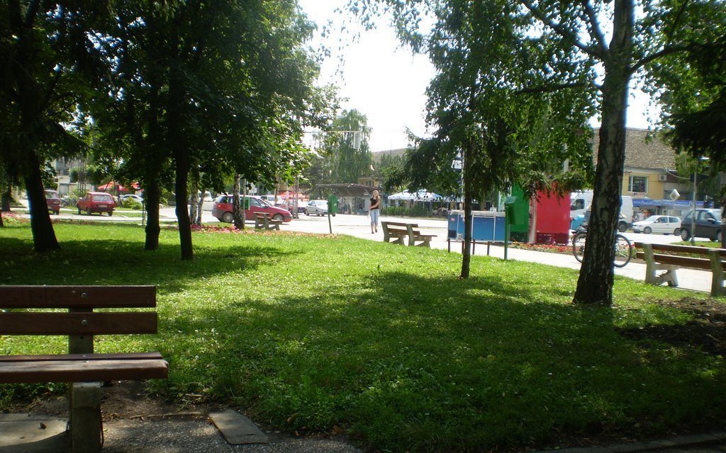 Városrendezés Temerinben: Fák helyére betont!