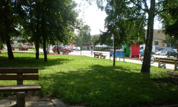 Városrendezés Temerinben: Fák helyére betont!