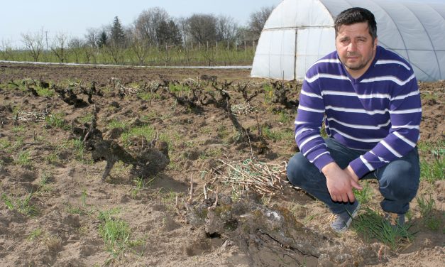 Kellett egy biztos kapaszkodó, hogy visszataláljak önmagamhoz