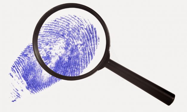 Negyven magánnyomozó van Szerbiában