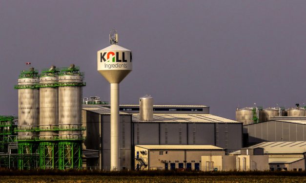 <span class="entry-title-primary">Édes élet</span> <span class="entry-subtitle">Cukorgyárat szerzett Mészáros Lőrinc</span>