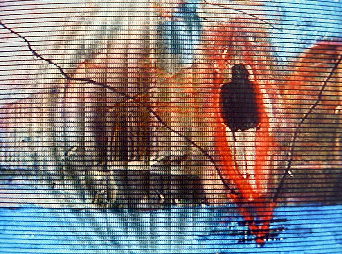 <span class="entry-title-primary">A dunai főnix: Kerekes László emlékére</span> <span class="entry-subtitle">Német alapítvány őrzi meg műveit az utókor számára</span>