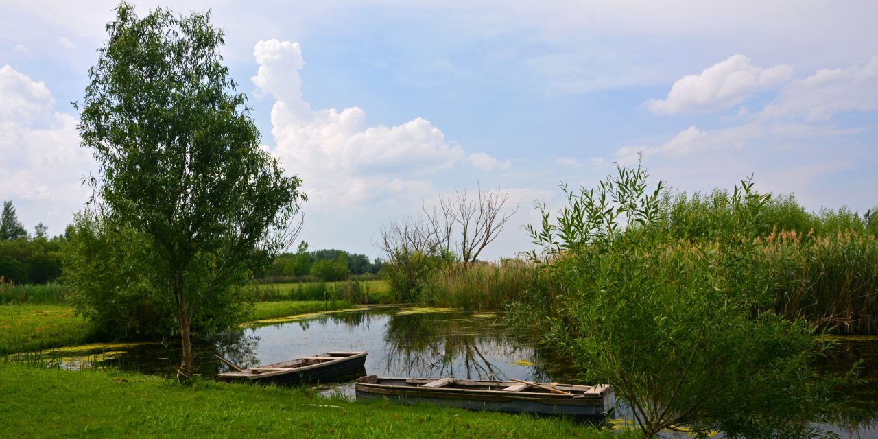 <span class="entry-title-primary">Natúrpark alakult a magyar–szerb határnál</span> <span class="entry-subtitle">Magyarország legújabb natúrparkja alakult meg pénteken Kelebia központtal - írja közleményében az Agrárminisztérium</span>