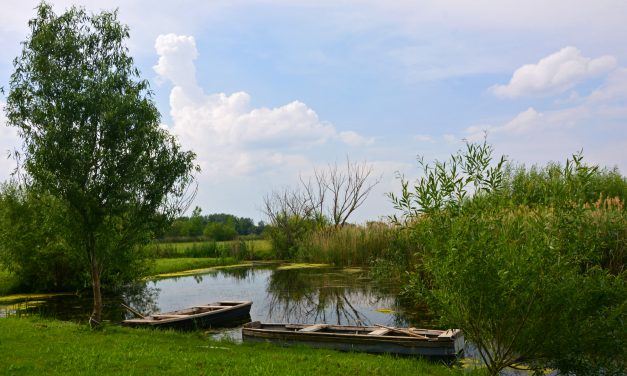 <span class="entry-title-primary">Natúrpark alakult a magyar–szerb határnál</span> <span class="entry-subtitle">Magyarország legújabb natúrparkja alakult meg pénteken Kelebia központtal - írja közleményében az Agrárminisztérium</span>