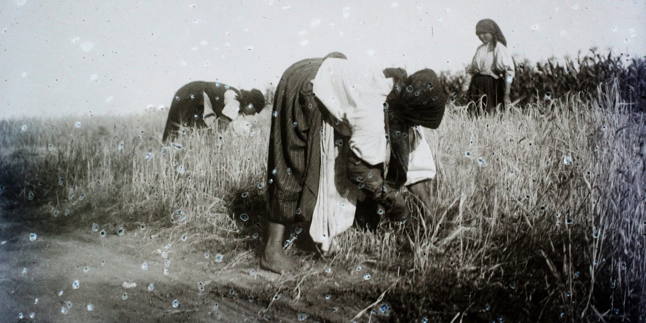 <span class="entry-title-primary">Sarlósboldogasszony</span> <span class="entry-subtitle">Sík Sándor verse</span>