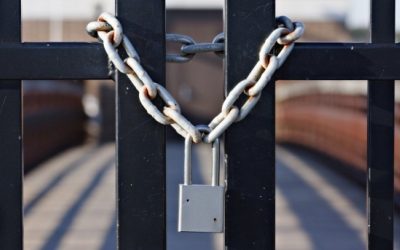 Csődeljárást indítottak a bácskossuthfalvi SILA vállalat ellen