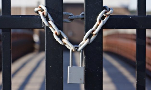 Csődbe ment a nagybecskereki Vojvodinaput