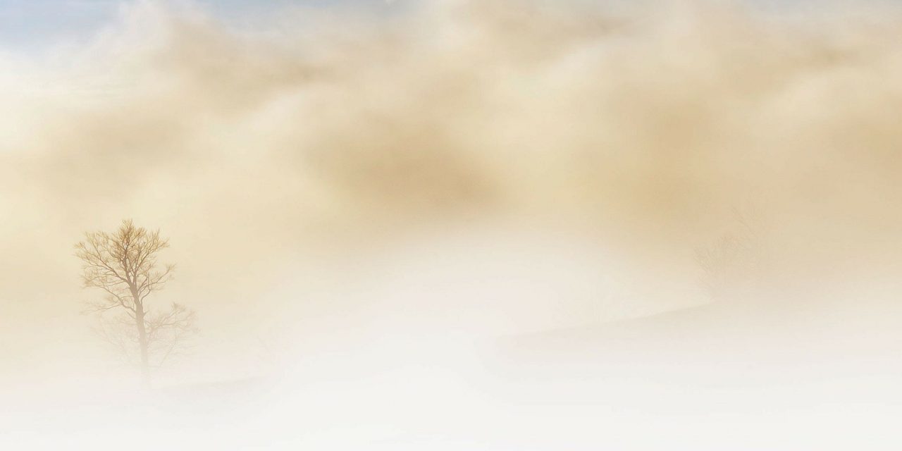 <span class="entry-title-primary">Homokvihar</span> <span class="entry-subtitle">A (jól megfizetett) karaván halad – de merre?</span>