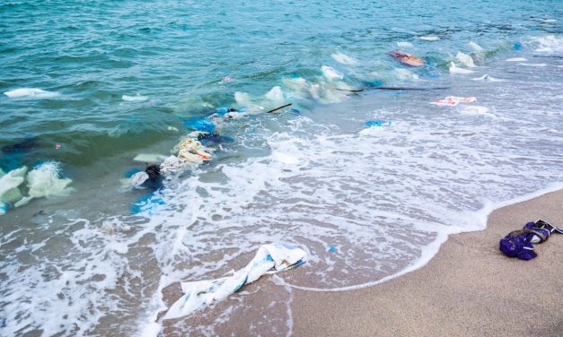 Ma van a zacskómentes világnap