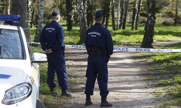 Feldarabolt holttesteket találtak a Pilisben