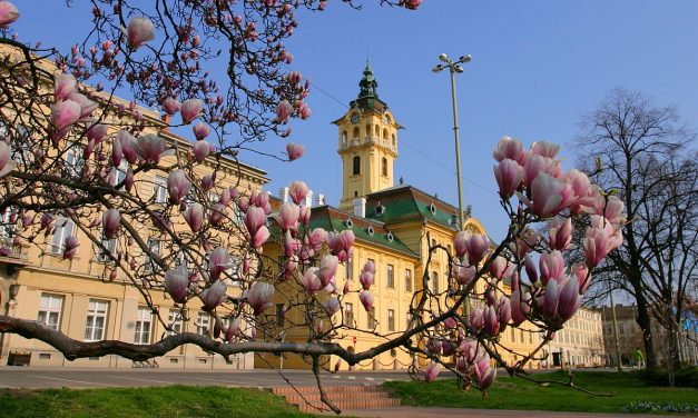 Muzsikáló udvar Szegeden