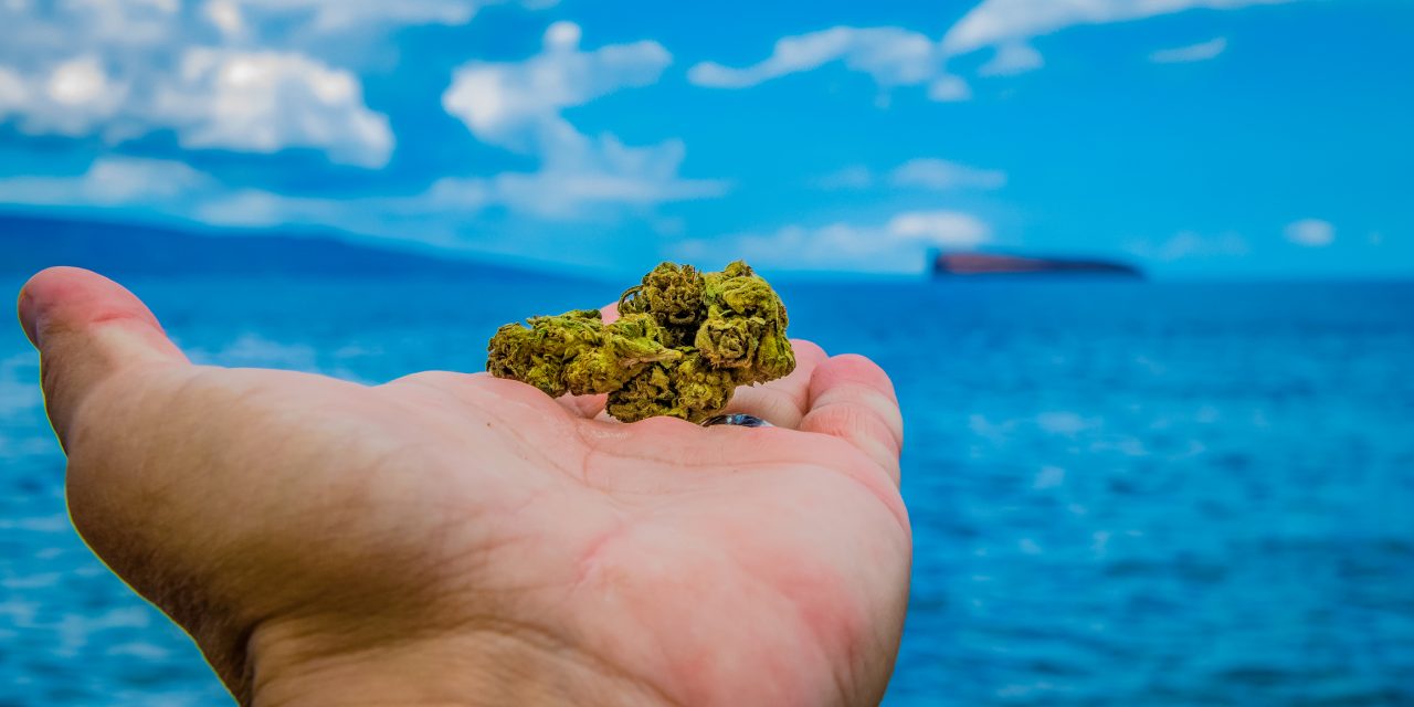 Montenegró: Egy tonna füvet találtak a tengerben